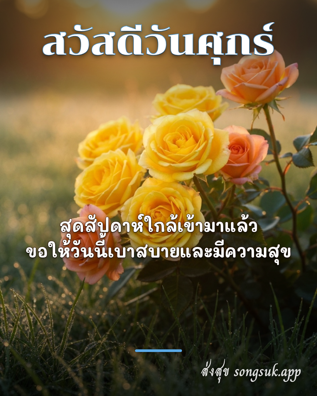สวัสดีวันศุกร์
สุดสัปดาห์ใกล้เข้ามาแล้ว
ขอให้วันนี้เบาสบายแล