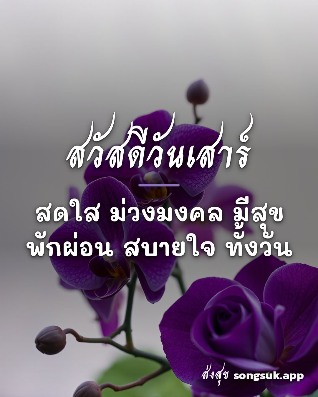 รูปอวยพร สวัสดีวันเสาร์
สดใส ม่วงมงคล มีสุข
พักผ่อน สบายใจ ทั้งวัน จากส่งสุข