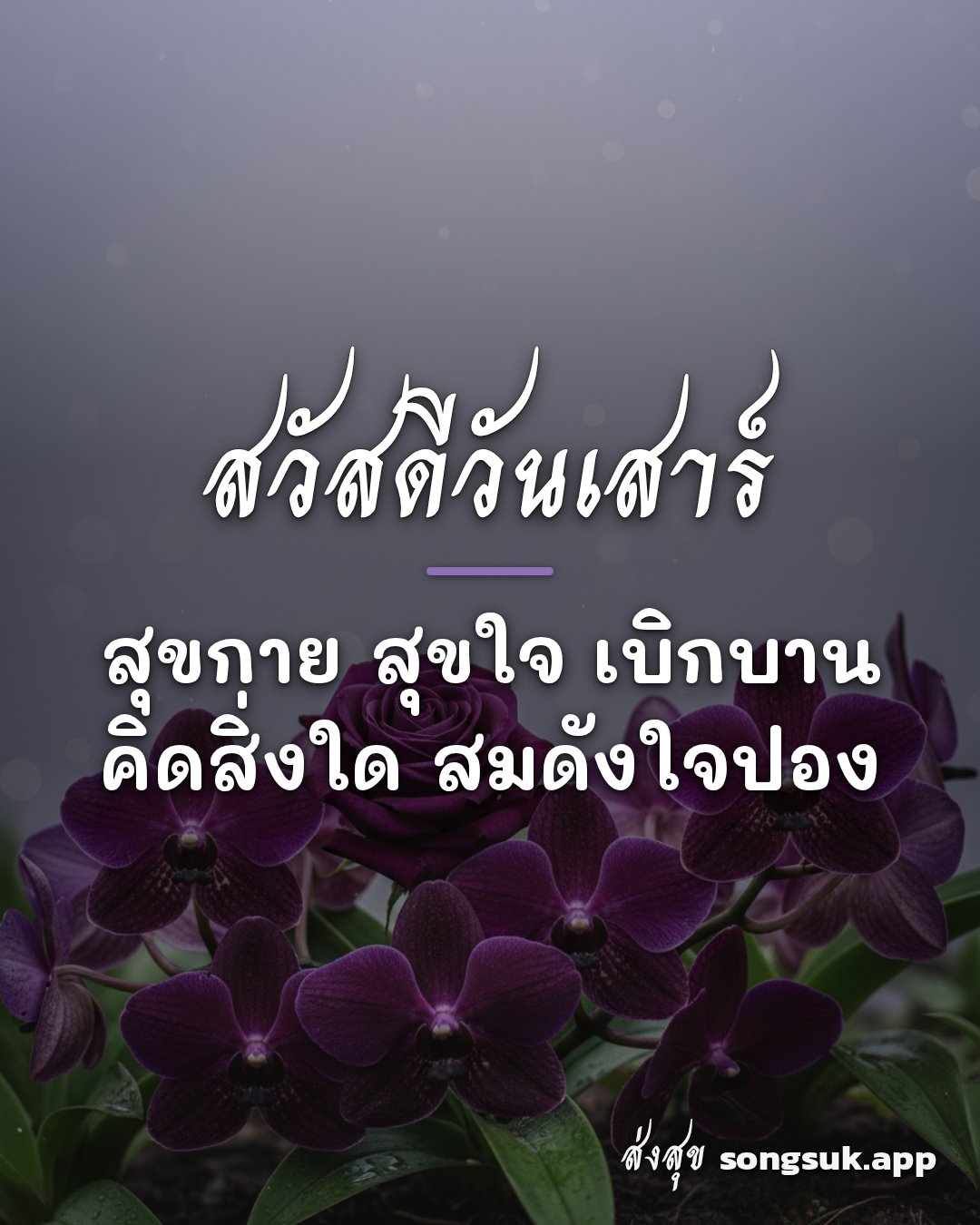 รูปอวยพร สวัสดีวันเสาร์
สุขกาย สุขใจ เบิกบาน
คิดสิ่งใด สมดังใจปอง จากส่งสุข