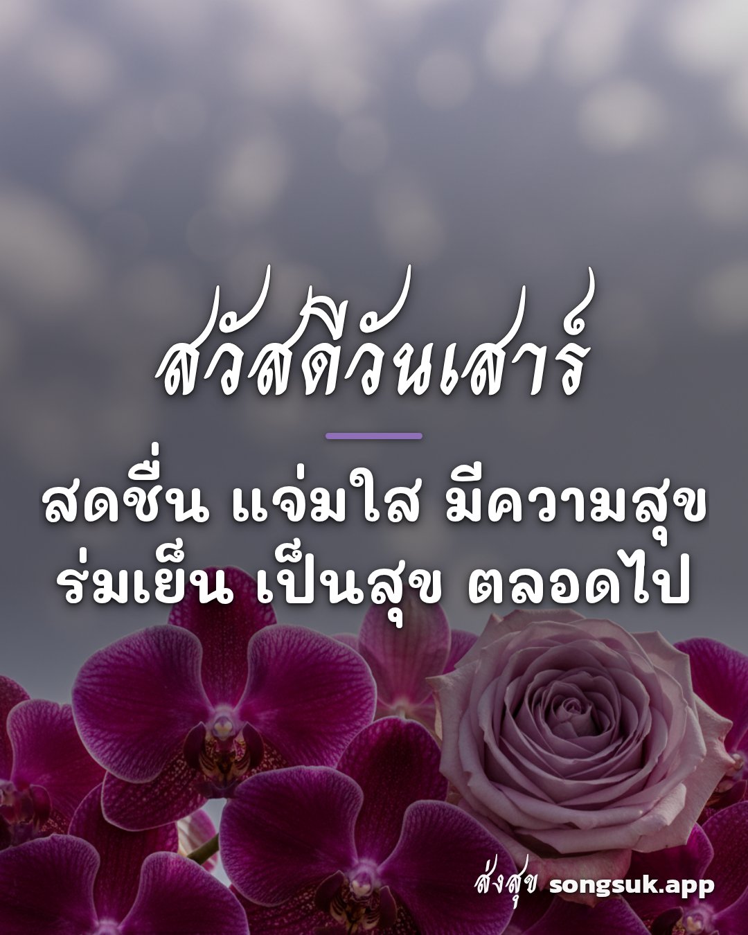 รูปอวยพร สวัสดีวันเสาร์
สดชื่น แจ่มใส มีความสุข
ร่มเย็น เป็นสุข ตลอดไ จากส่งสุข