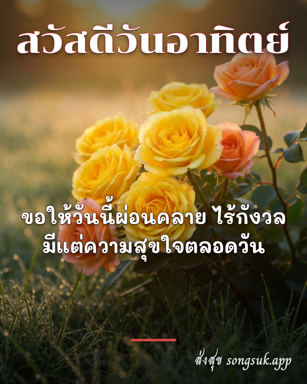 สวัสดีวันอาทิตย์
ขอให้วันนี้ผ่อนคลาย ไร้กังวล
มีแต่ความสุขใจ