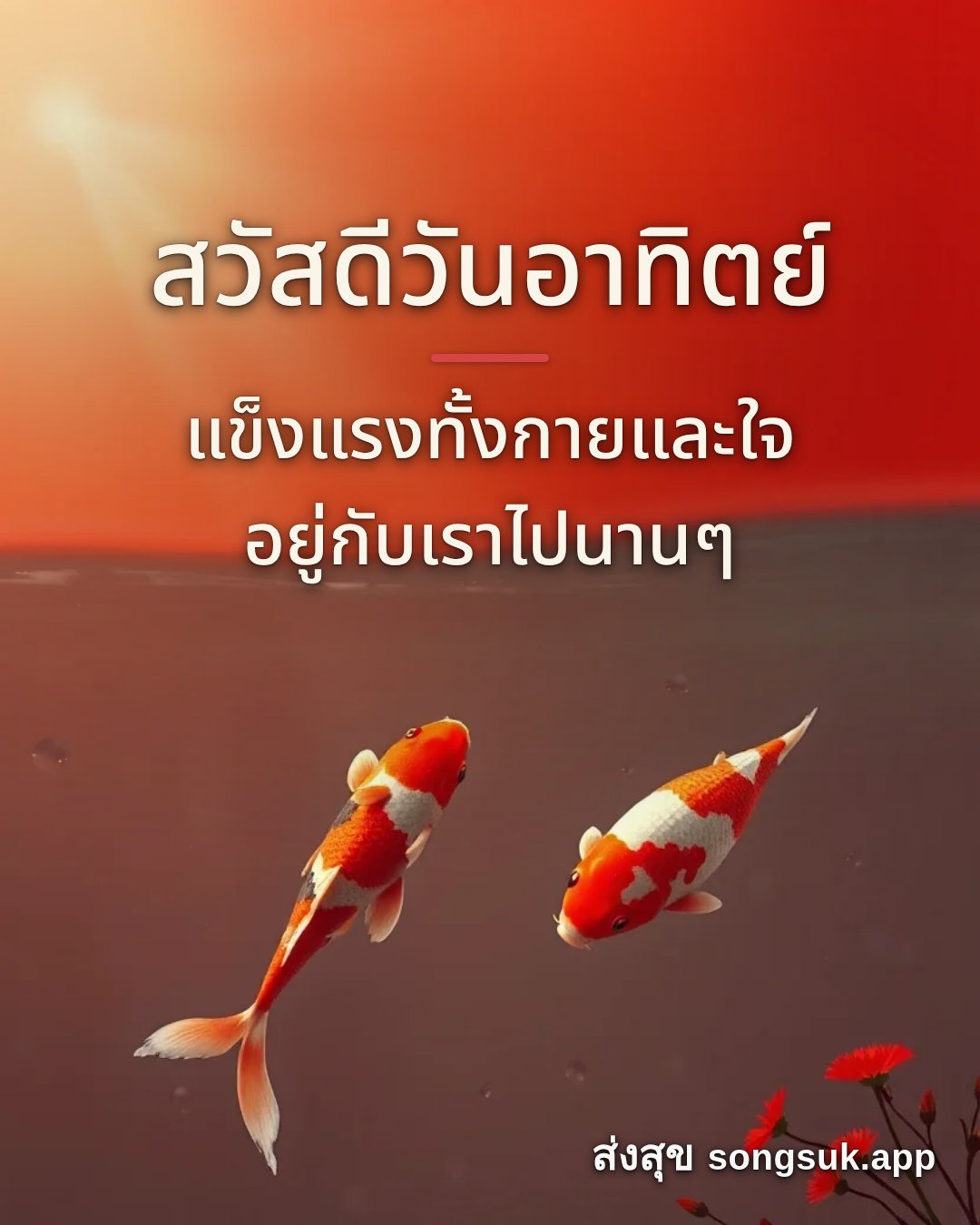 รูปอวยพร สวัสดีวันอาทิตย์
แข็งแรงทั้งกายและใจ
อยู่กับเราไปนานๆ จากส่งสุข