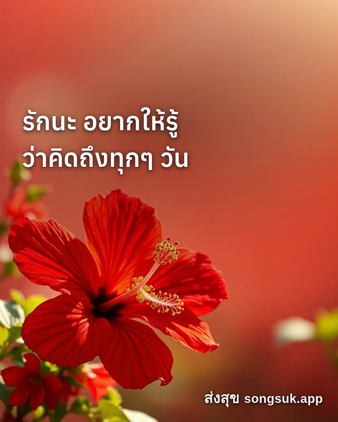 รูปอวยพร สวัสดีวันอาทิตย์
รักนะ อยากให้รู้
ว่าคิดถึงทุกๆ วัน จากส่งสุข