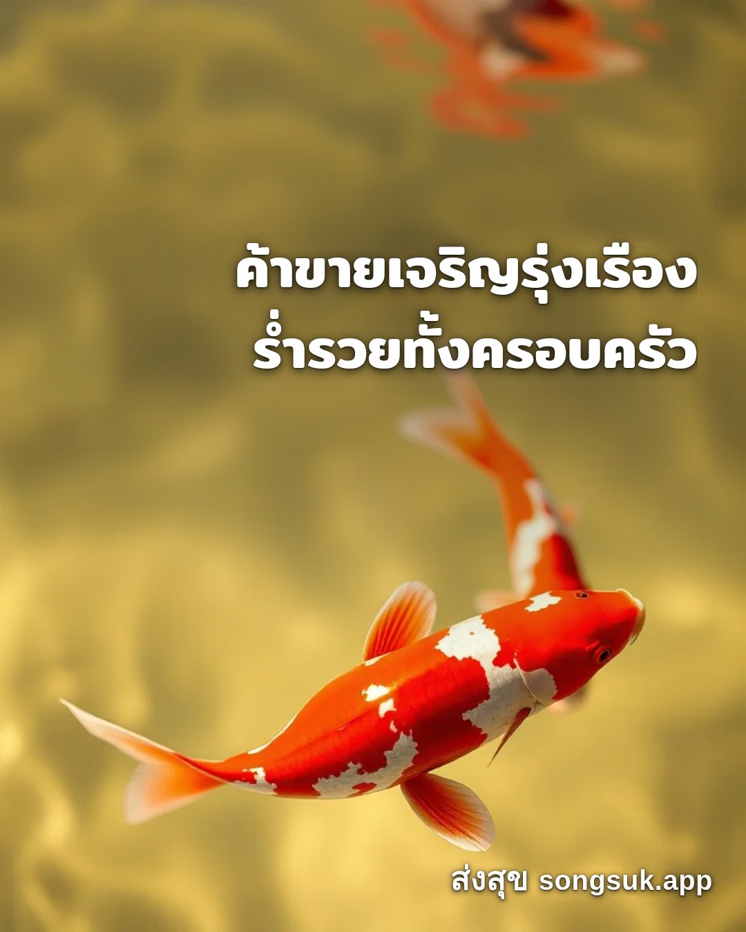 รูปอวยพร สวัสดีวันอาทิตย์
ค้าขายเจริญรุ่งเรือง
ร่ำรวยทั้งครอบครัว จากส่งสุข