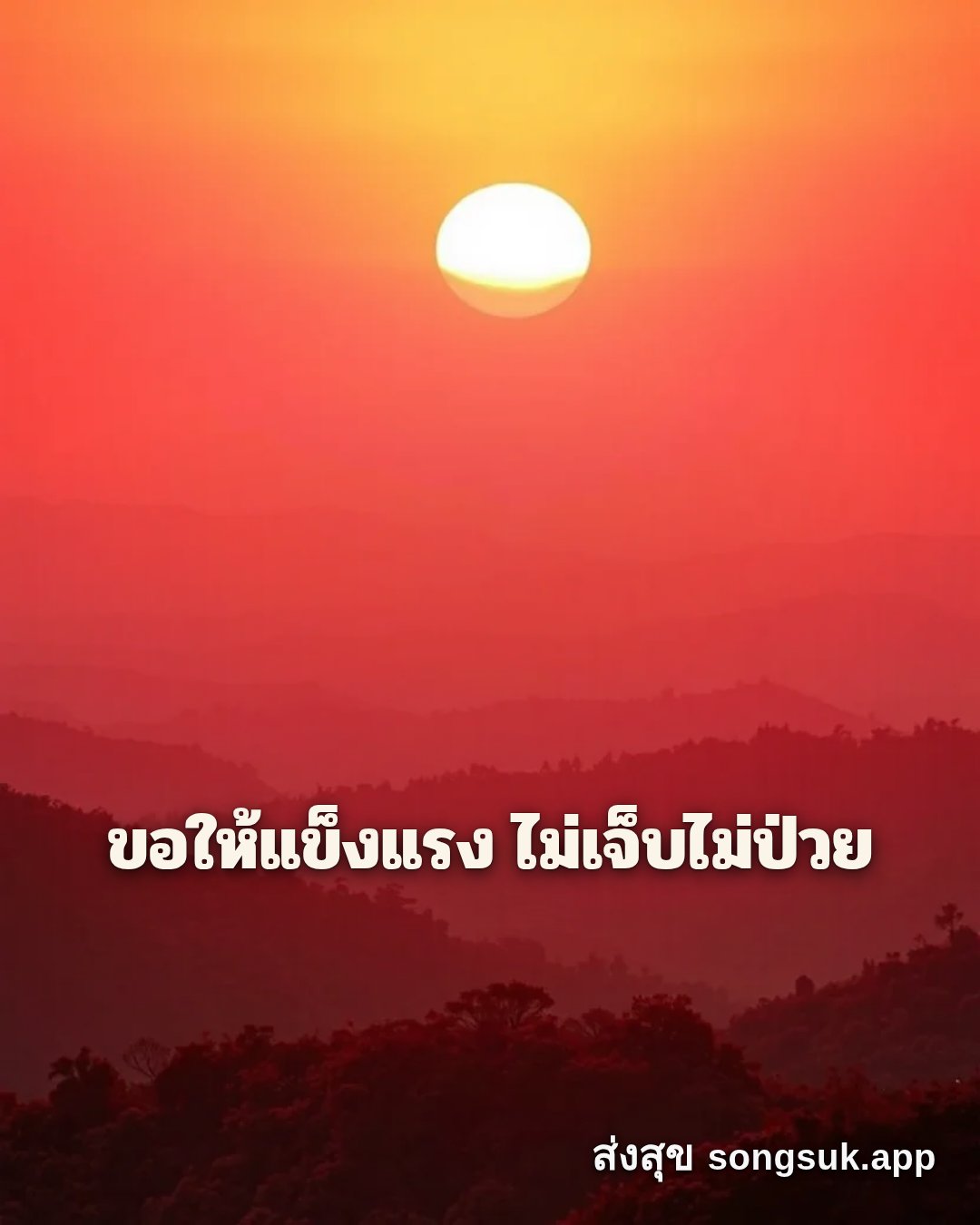 รูปอวยพร สวัสดีวันอาทิตย์
ขอให้แข็งแรง ไม่เจ็บไม่ป่วย จากส่งสุข