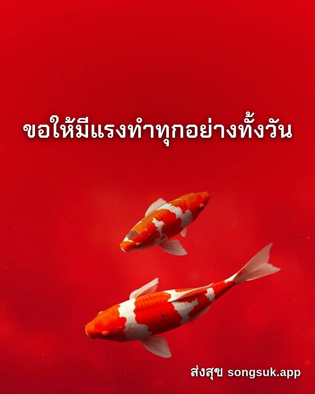 รูปอวยพร สวัสดีวันอาทิตย์
ขอให้มีแรงทำทุกอย่างทั้งวัน จากส่งสุข