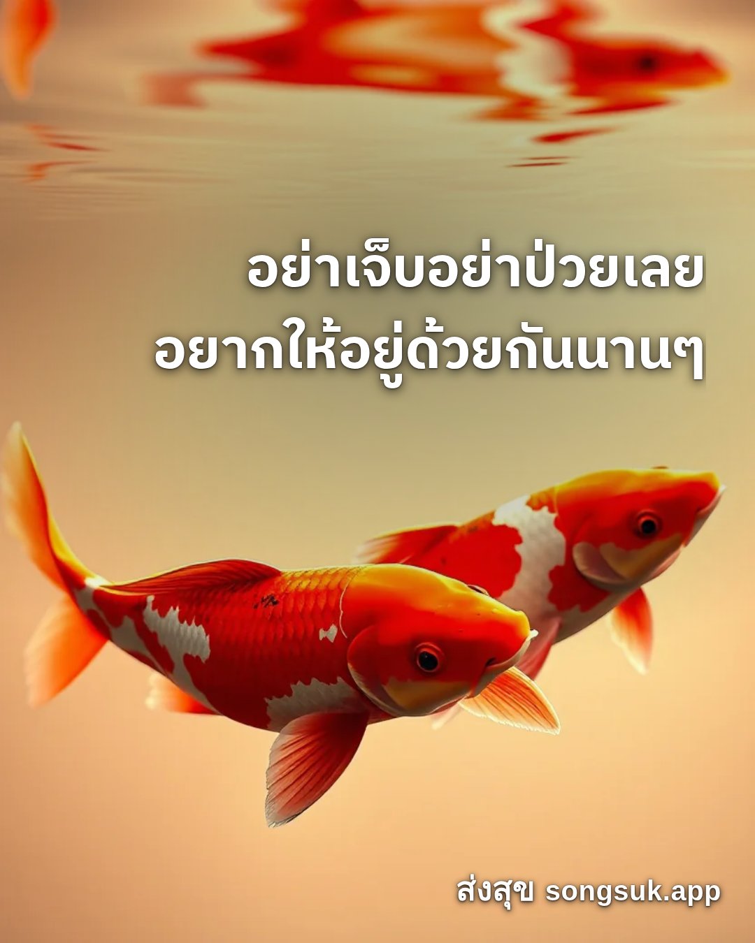รูปอวยพร สวัสดีวันอาทิตย์
อย่าเจ็บอย่าป่วยเลย
อยากให้อยู่ด้วยกันนานๆ จากส่งสุข