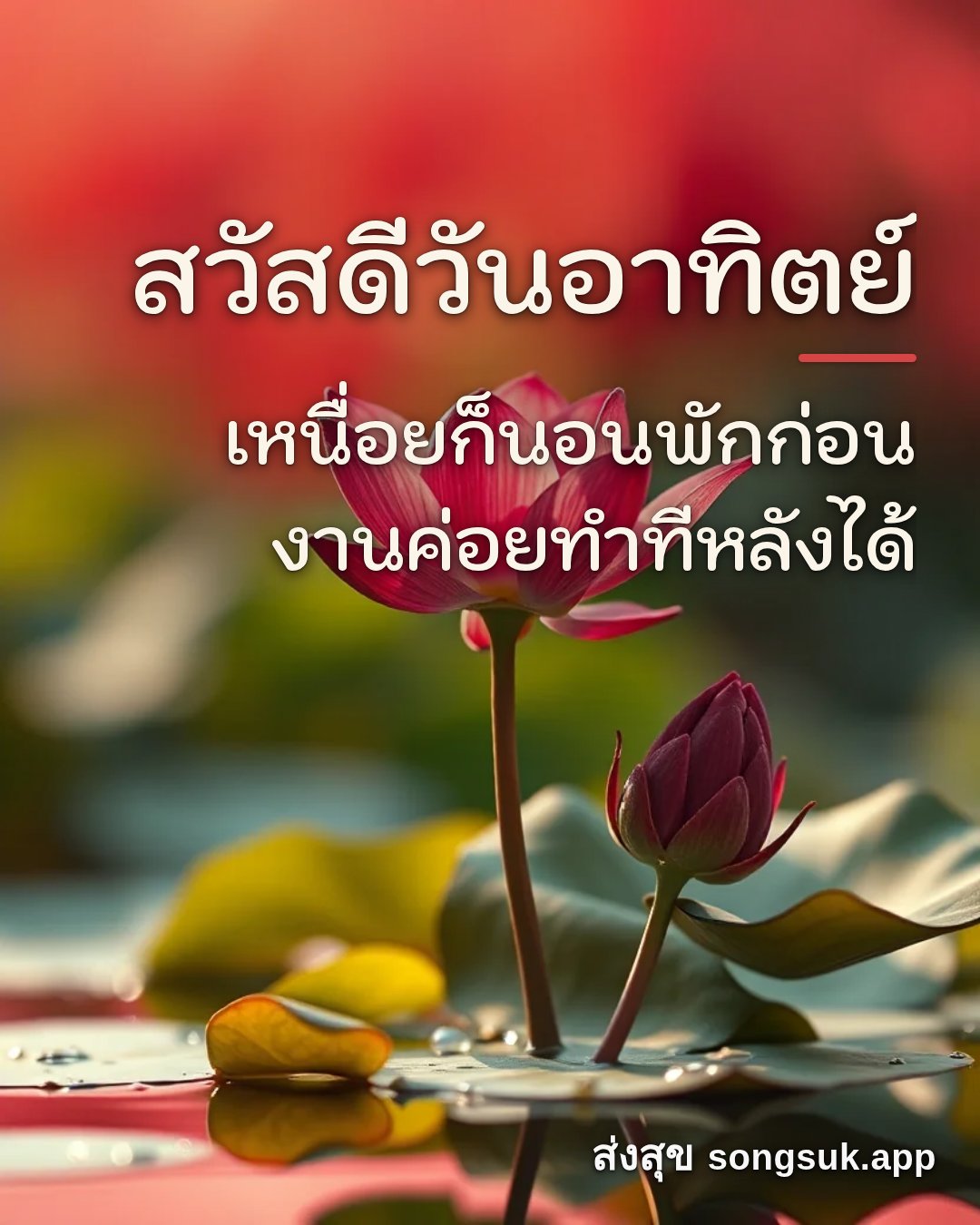รูปอวยพร สวัสดีวันอาทิตย์
เหนื่อยก็นอนพักก่อน
งานค่อยทำทีหลังได้ จากส่งสุข