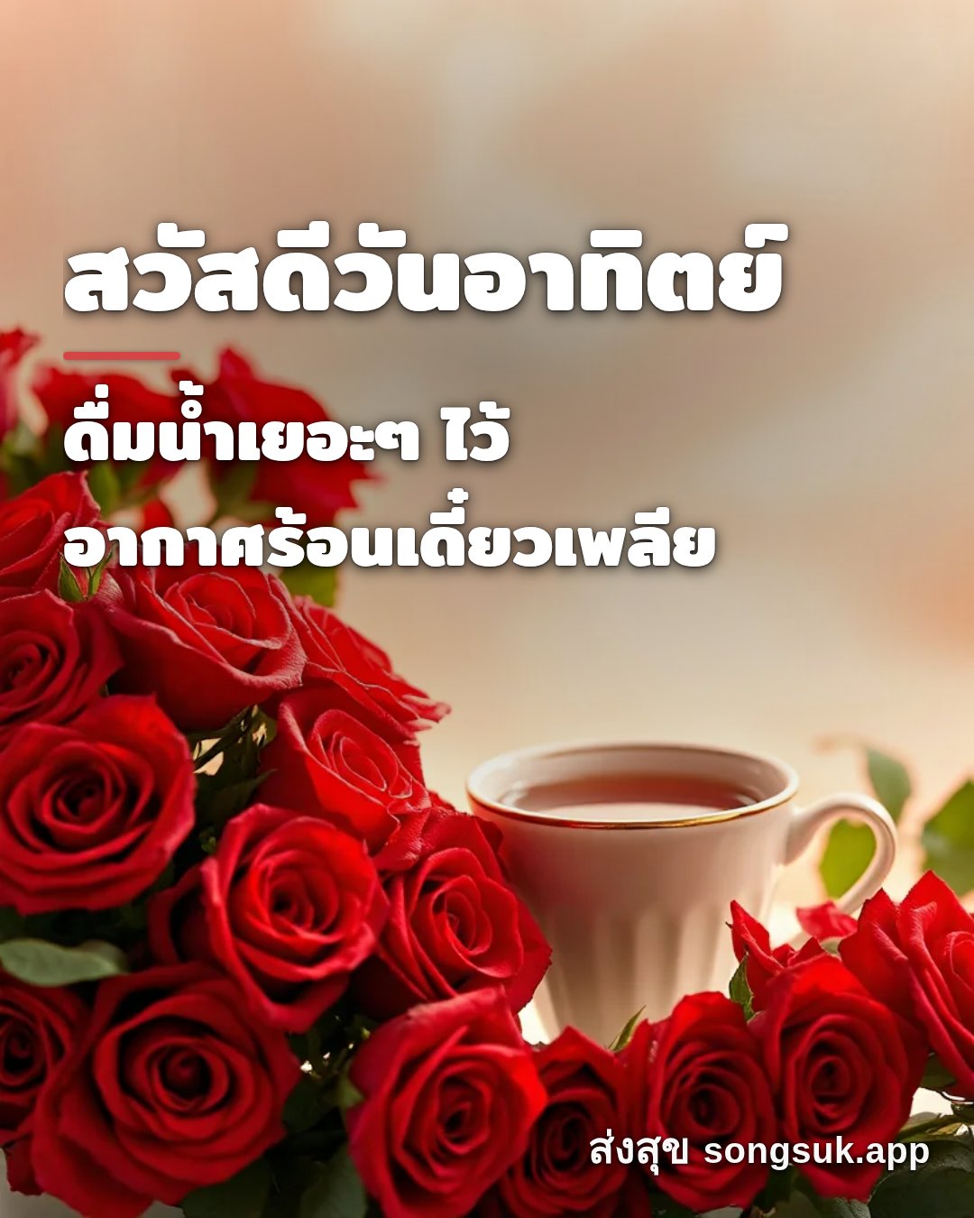 รูปอวยพร สวัสดีวันอาทิตย์
ดื่มน้ำเยอะๆ ไว้
อากาศร้อนเดี๋ยวเพลีย จากส่งสุข