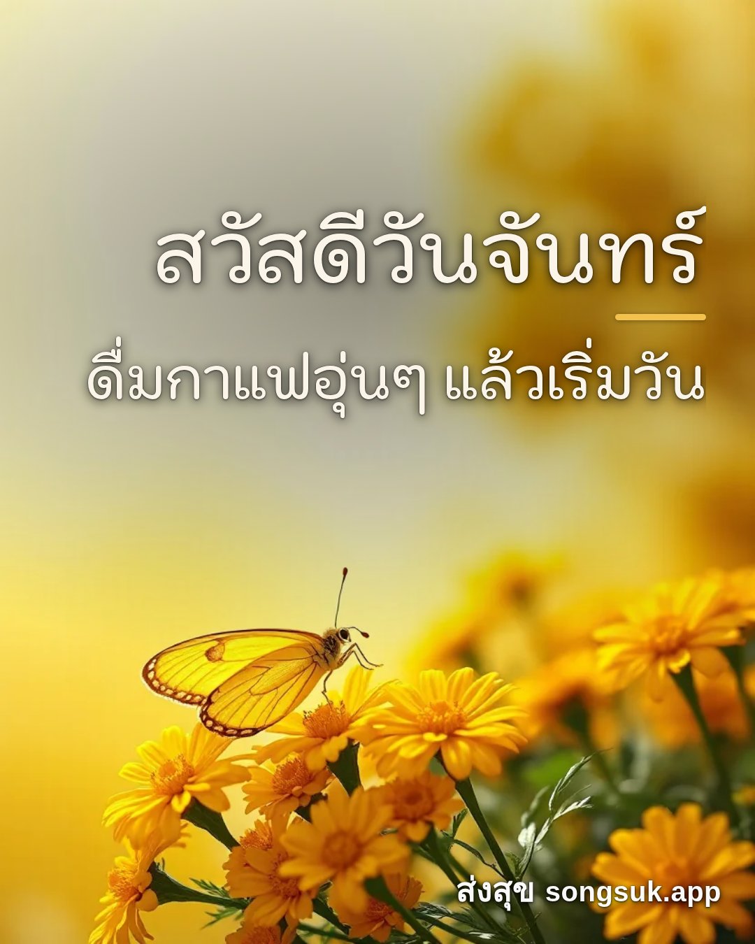 รูปอวยพร สวัสดีวันจันทร์
ดื่มกาแฟอุ่นๆ แล้วเริ่มวัน จากส่งสุข