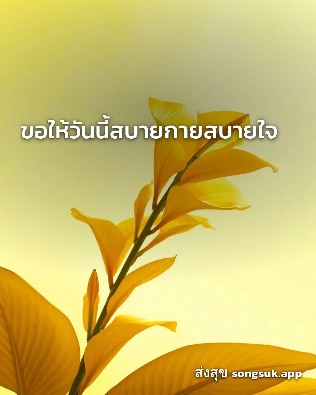 รูปอวยพร สวัสดีวันจันทร์
ขอให้วันนี้สบายกายสบายใจ จากส่งสุข