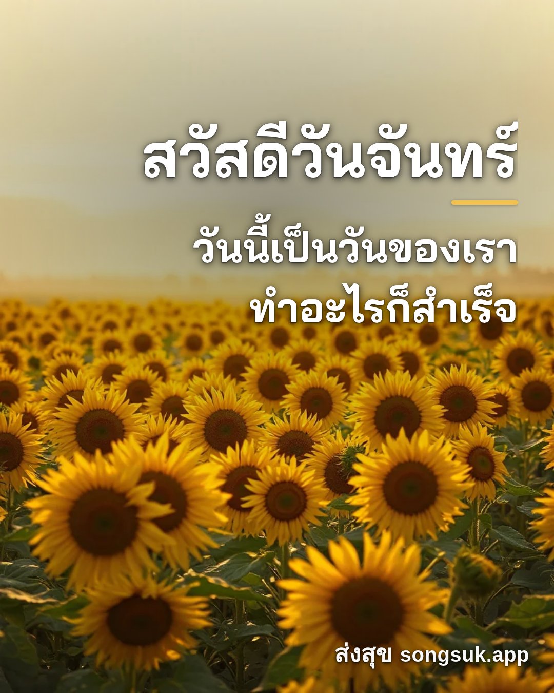 รูปอวยพร สวัสดีวันจันทร์
วันนี้เป็นวันของเรา
ทำอะไรก็สำเร็จ จากส่งสุข