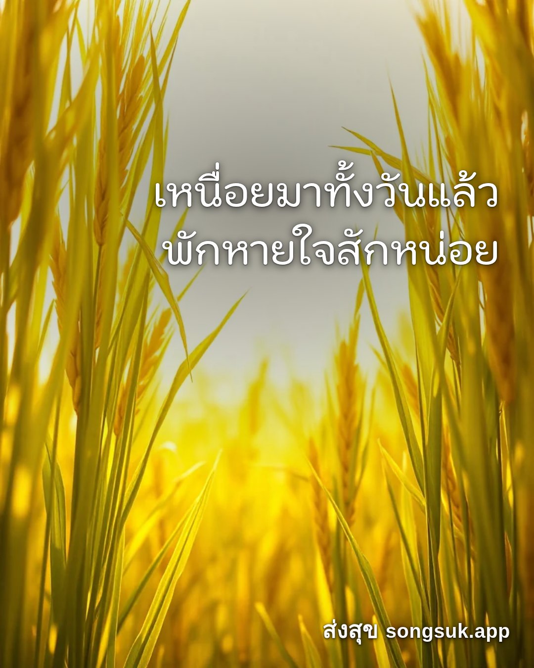 รูปอวยพร สวัสดีวันจันทร์
เหนื่อยมาทั้งวันแล้ว
พักหายใจสักหน่อย จากส่งสุข