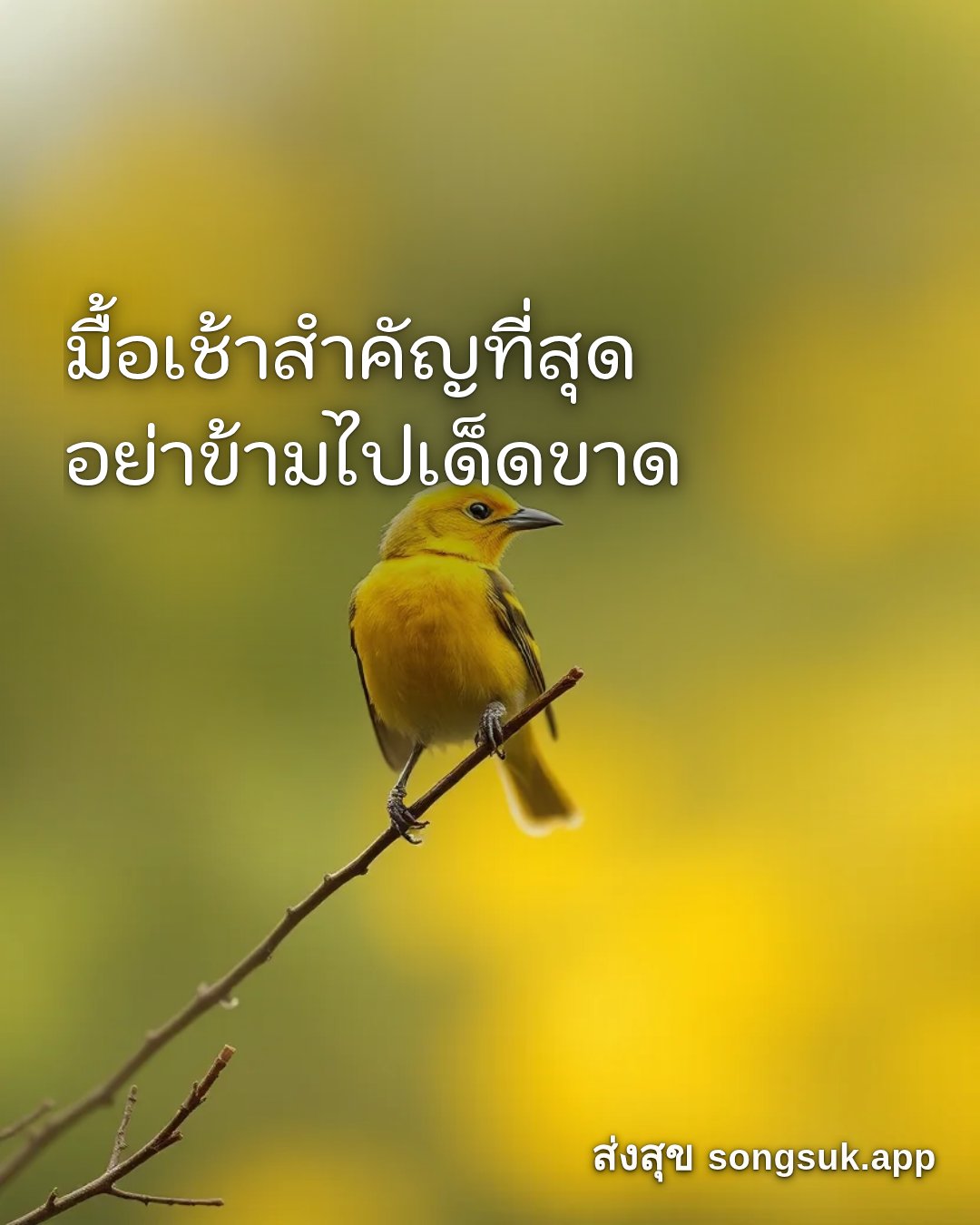 รูปอวยพร สวัสดีวันจันทร์
มื้อเช้าสำคัญที่สุด
อย่าข้ามไปเด็ดขาด จากส่งสุข