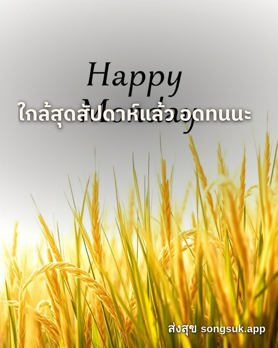 รูปอวยพร สวัสดีวันจันทร์
ใกล้สุดสัปดาห์แล้ว อดทนนะ จากส่งสุข