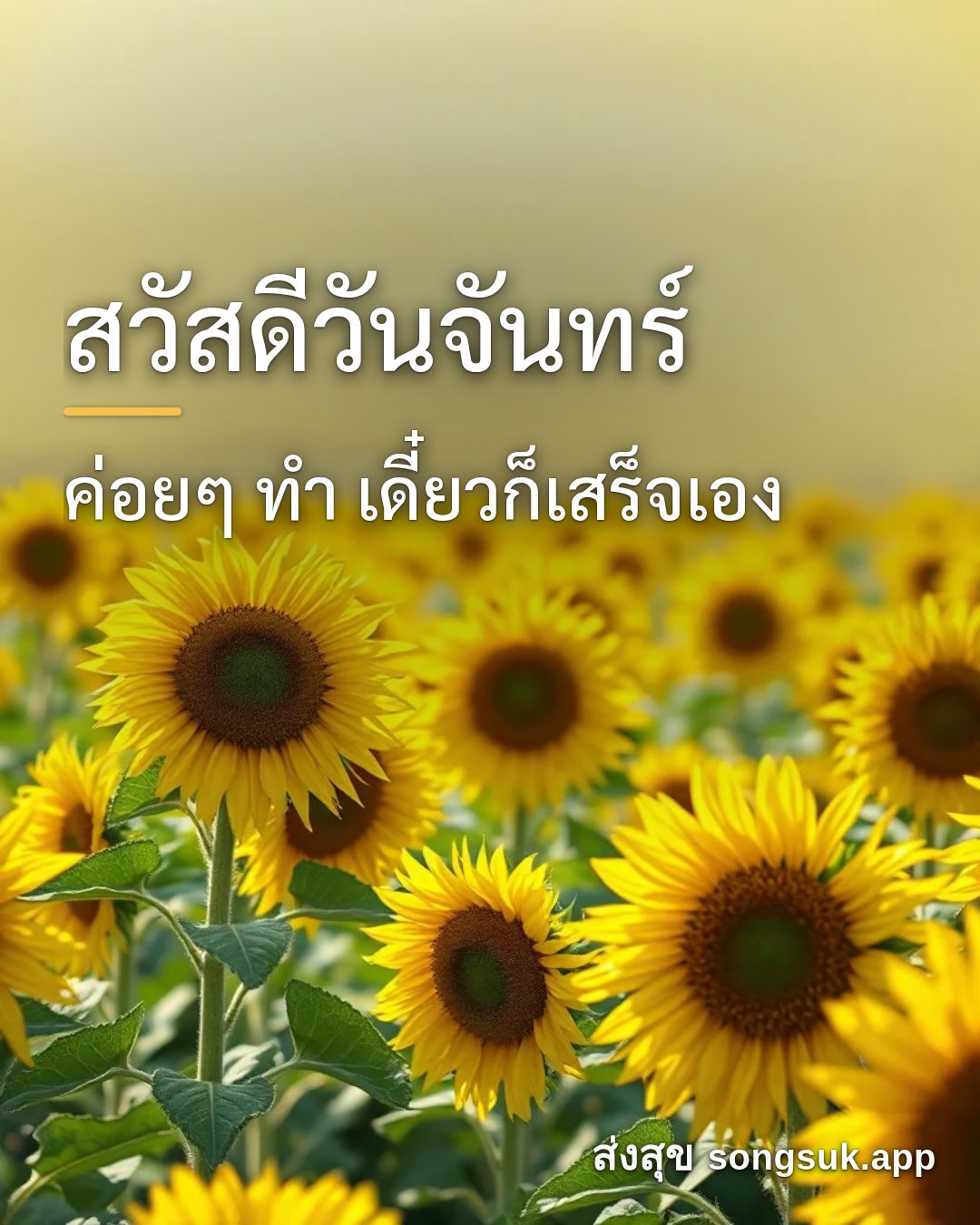 รูปอวยพร สวัสดีวันจันทร์
ค่อยๆ ทำ เดี๋ยวก็เสร็จเอง จากส่งสุข