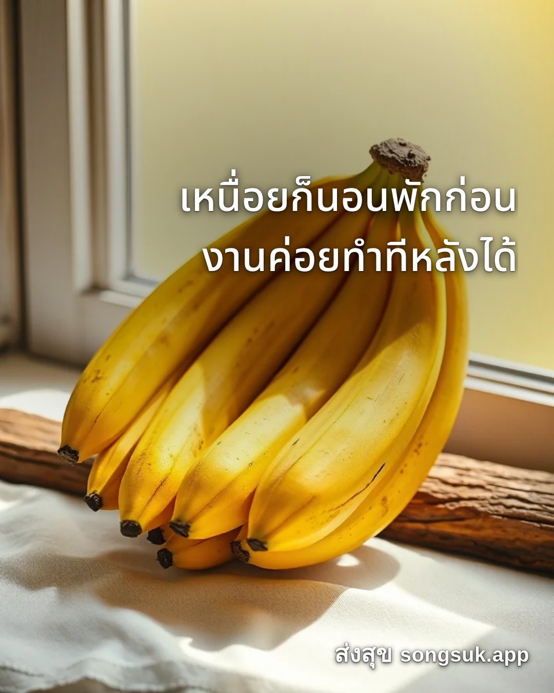 รูปอวยพร สวัสดีวันจันทร์
เหนื่อยก็นอนพักก่อน
งานค่อยทำทีหลังได้ จากส่งสุข
