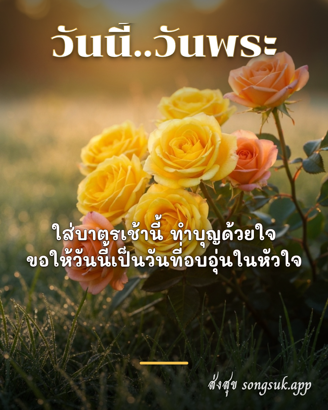 วันนี้..วันพระ
ใส่บาตรเช้านี้ ทำบุญด้วยใจ
ขอให้วันนี้เป็นวัน