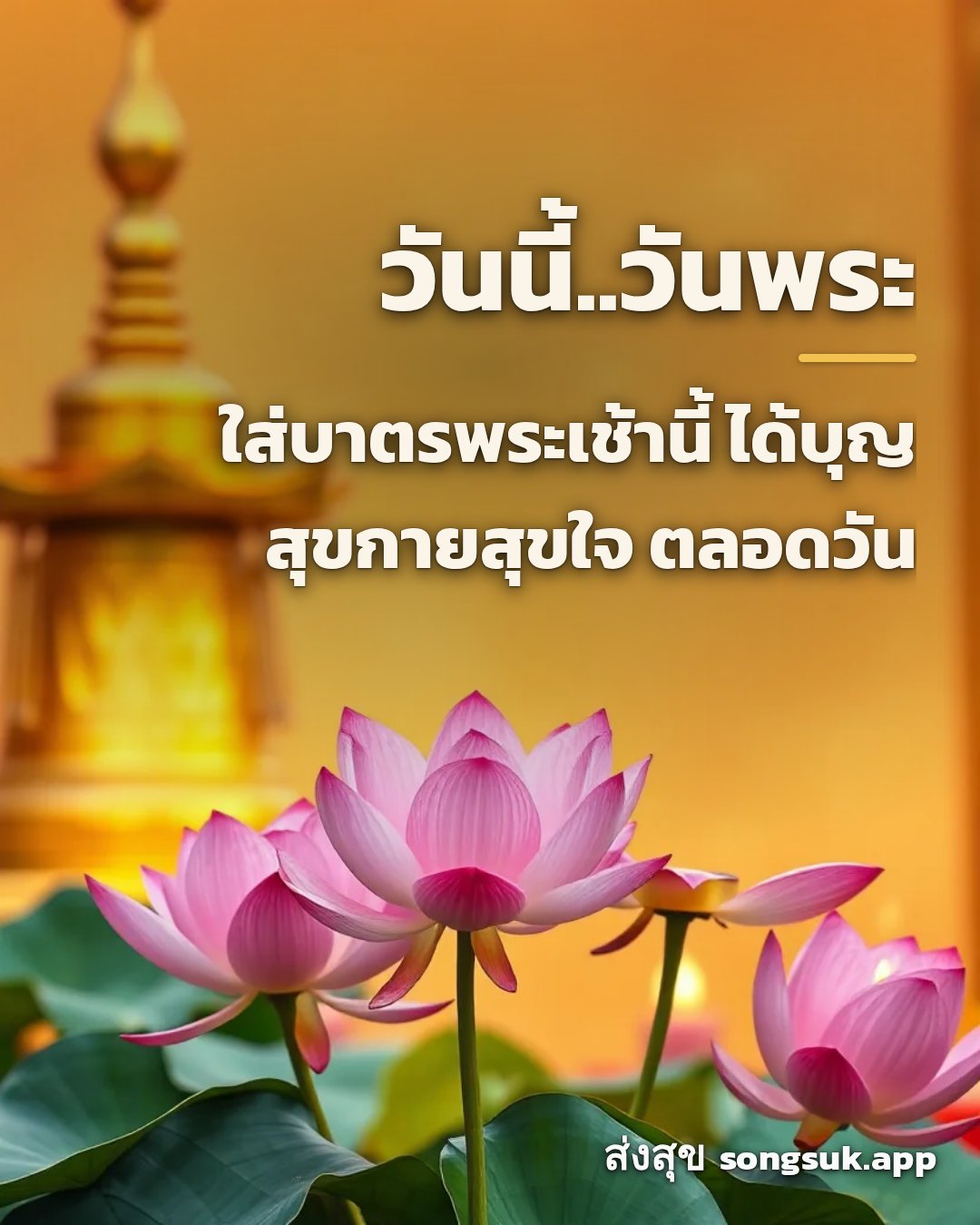 รูปอวยพร วันนี้..วันพระ
ใส่บาตรพระเช้านี้ ได้บุญ
สุขกายสุขใจ ตลอดวัน จากส่งสุข