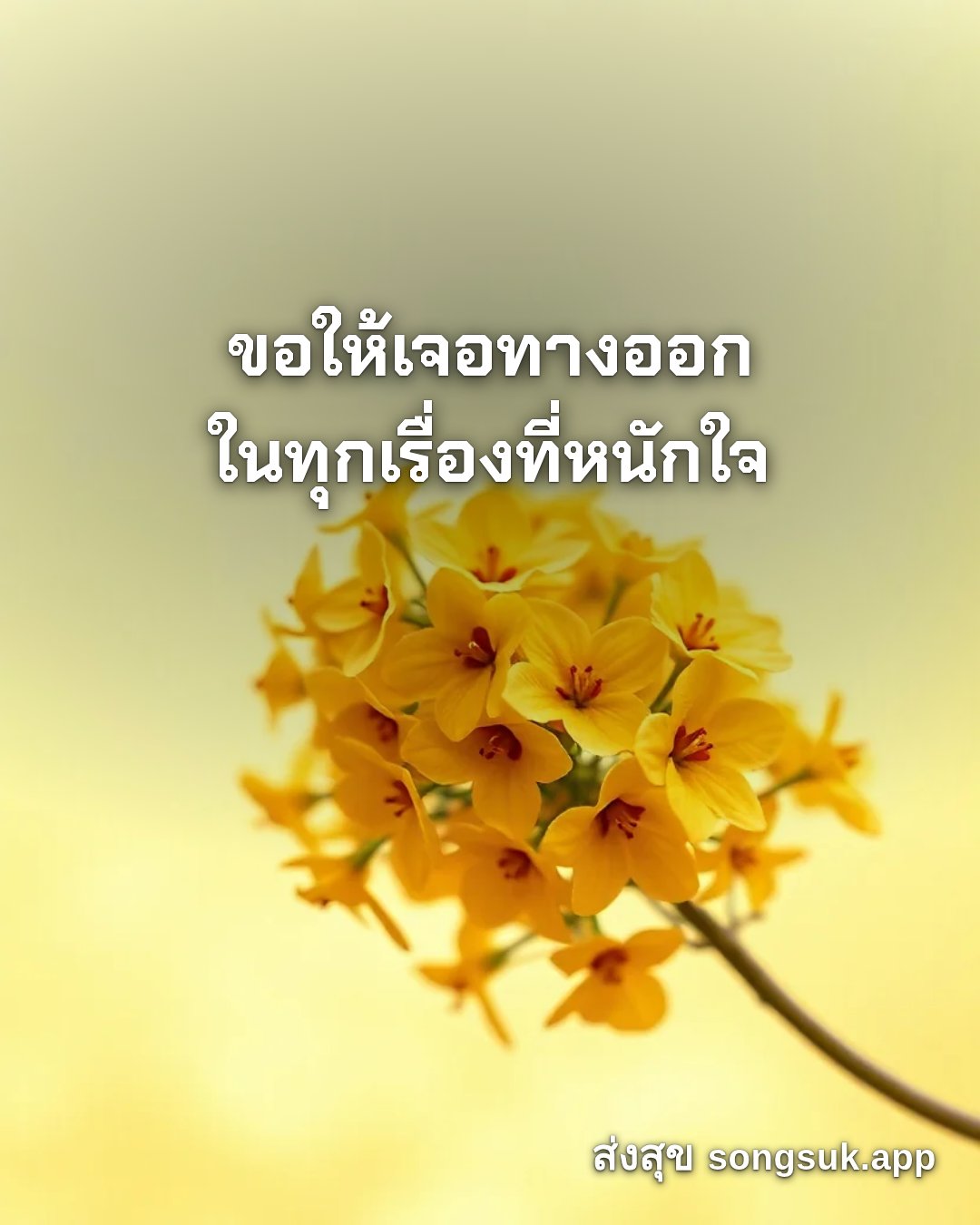 รูปอวยพร สวัสดีวันจันทร์
ขอให้เจอทางออก
ในทุกเรื่องที่หนักใจ จากส่งสุข