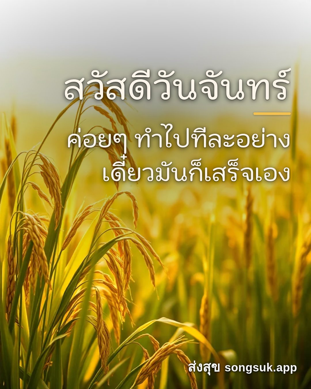 รูปอวยพร สวัสดีวันจันทร์
ค่อยๆ ทำไปทีละอย่าง
เดี๋ยวมันก็เสร็จเอง จากส่งสุข
