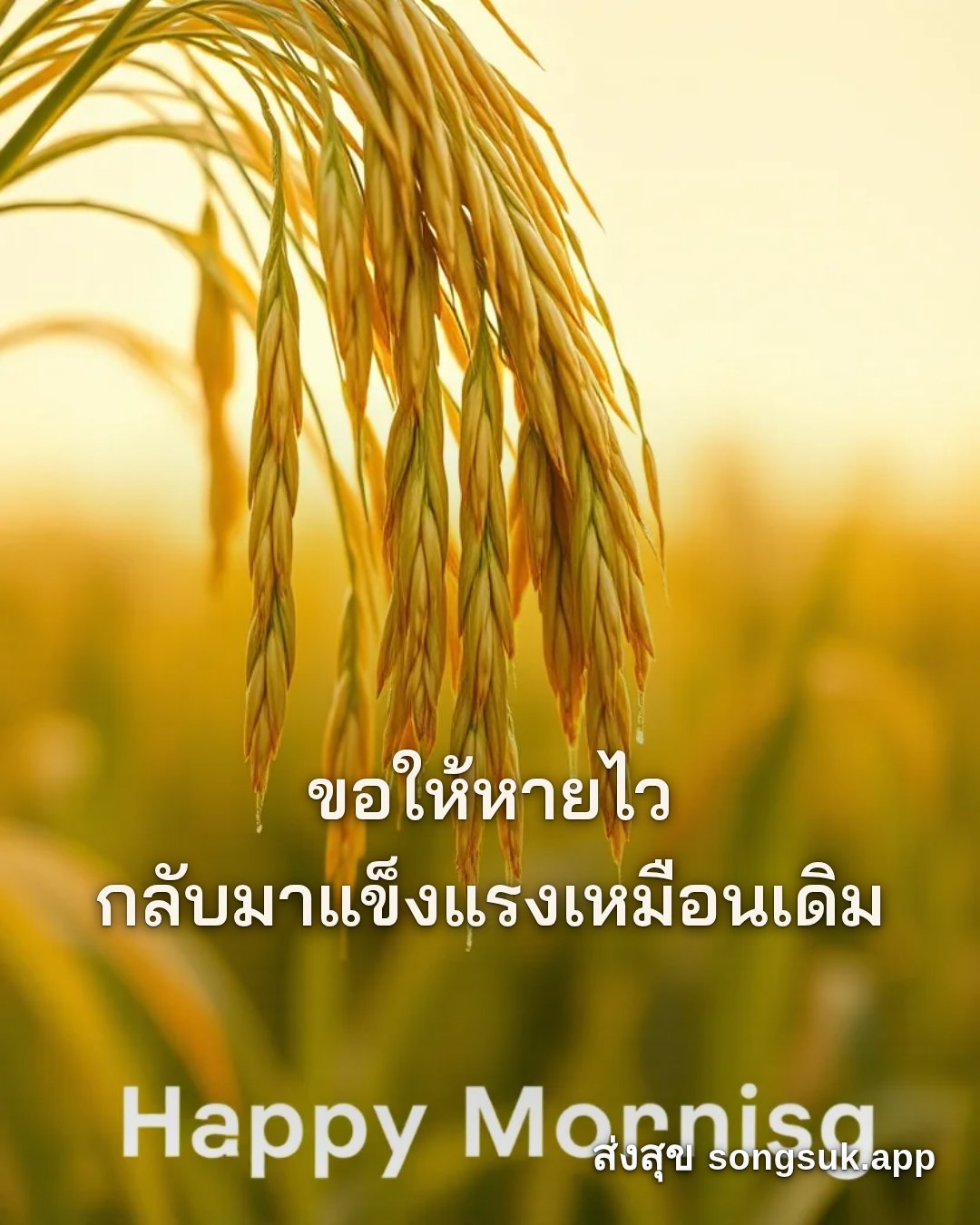 รูปอวยพร สวัสดีวันจันทร์
ขอให้หายไว
กลับมาแข็งแรงเหมือนเดิม จากส่งสุข
