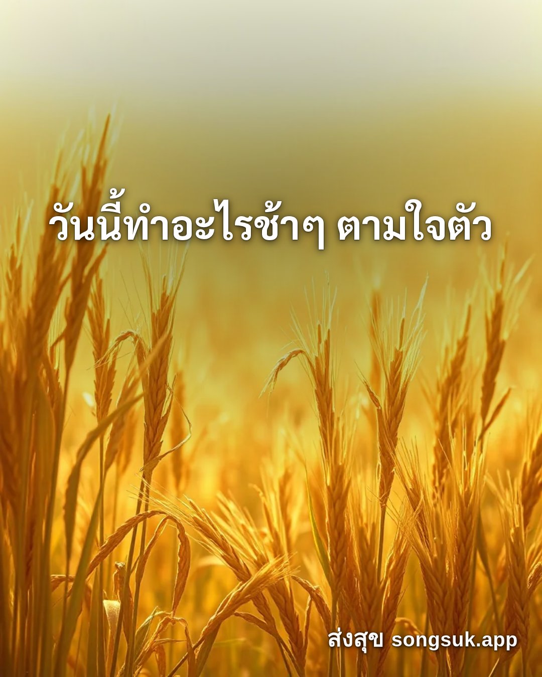 รูปอวยพร สวัสดีวันจันทร์
วันนี้ทำอะไรช้าๆ ตามใจตัว จากส่งสุข