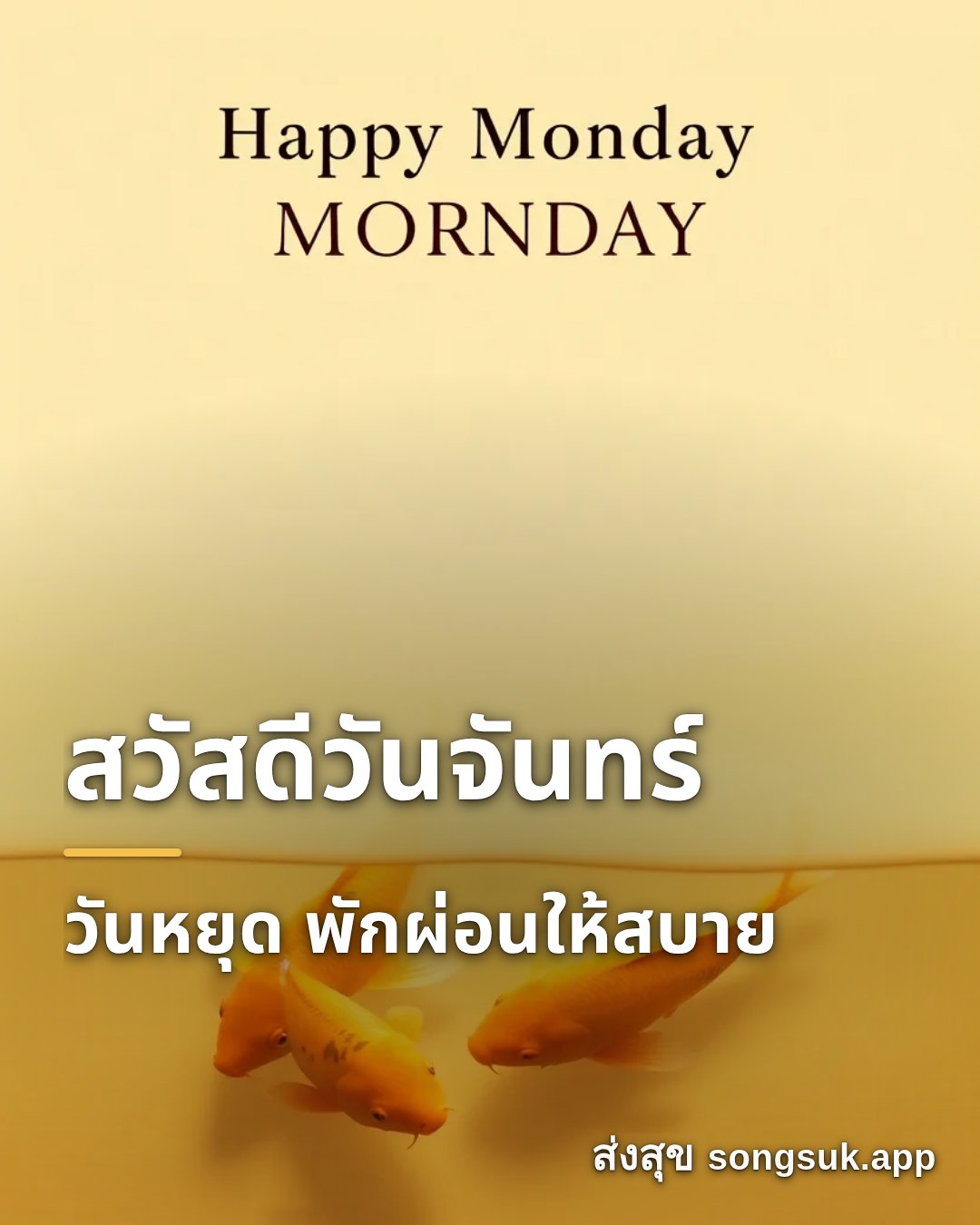 รูปอวยพร สวัสดีวันจันทร์
วันหยุด พักผ่อนให้สบาย จากส่งสุข