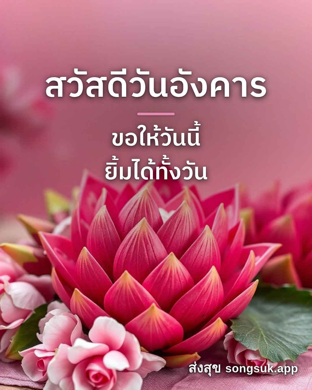รูปอวยพร สวัสดีวันอังคาร
ขอให้วันนี้
ยิ้มได้ทั้งวัน จากส่งสุข