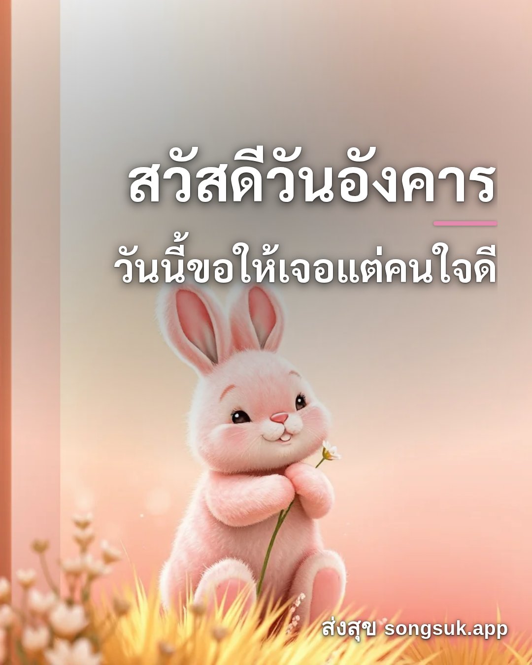 รูปอวยพร สวัสดีวันอังคาร
วันนี้ขอให้เจอแต่คนใจดี จากส่งสุข
