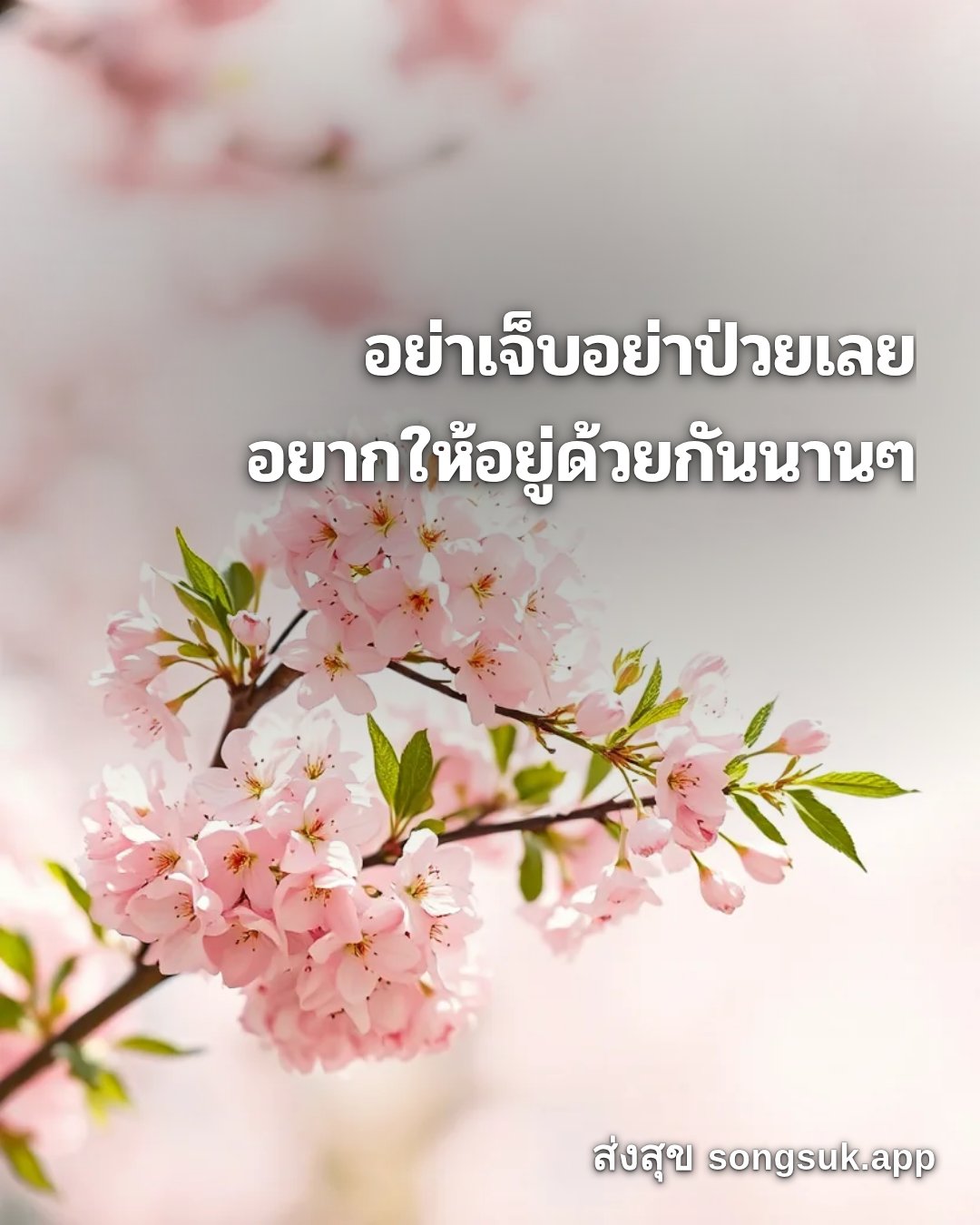 รูปอวยพร สวัสดีวันอังคาร
อย่าเจ็บอย่าป่วยเลย
อยากให้อยู่ด้วยกันนานๆ จากส่งสุข