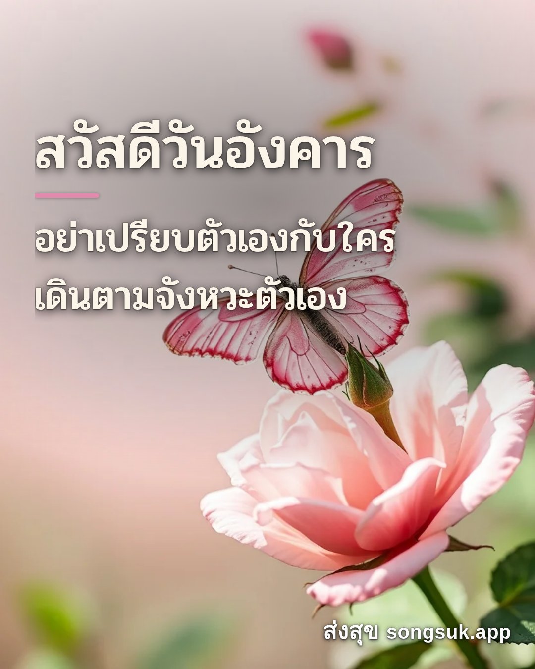 รูปอวยพร สวัสดีวันอังคาร
อย่าเปรียบตัวเองกับใคร
เดินตามจังหวะตัวเอง จากส่งสุข