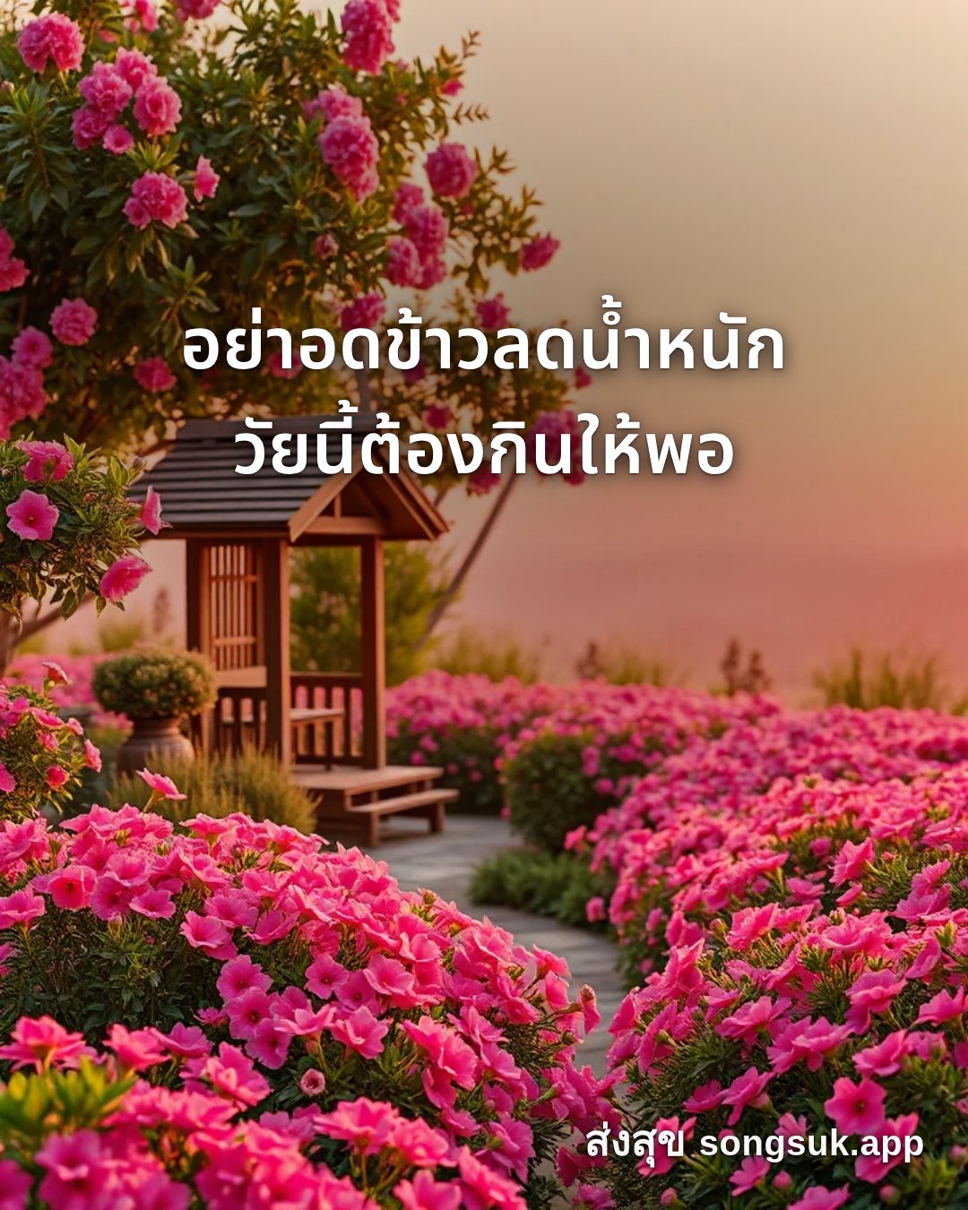 รูปอวยพร สวัสดีวันอังคาร
อย่าอดข้าวลดน้ำหนัก
วัยนี้ต้องกินให้พอ จากส่งสุข