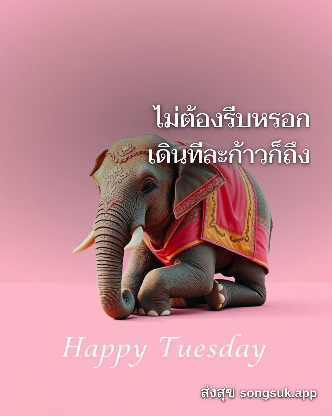 รูปอวยพร สวัสดีวันอังคาร
ไม่ต้องรีบหรอก
เดินทีละก้าวก็ถึง จากส่งสุข