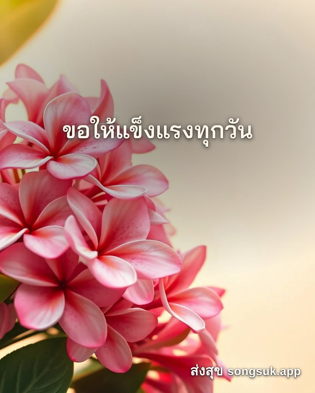 รูปอวยพร สวัสดีวันอังคาร
ขอให้แข็งแรงทุกวัน จากส่งสุข