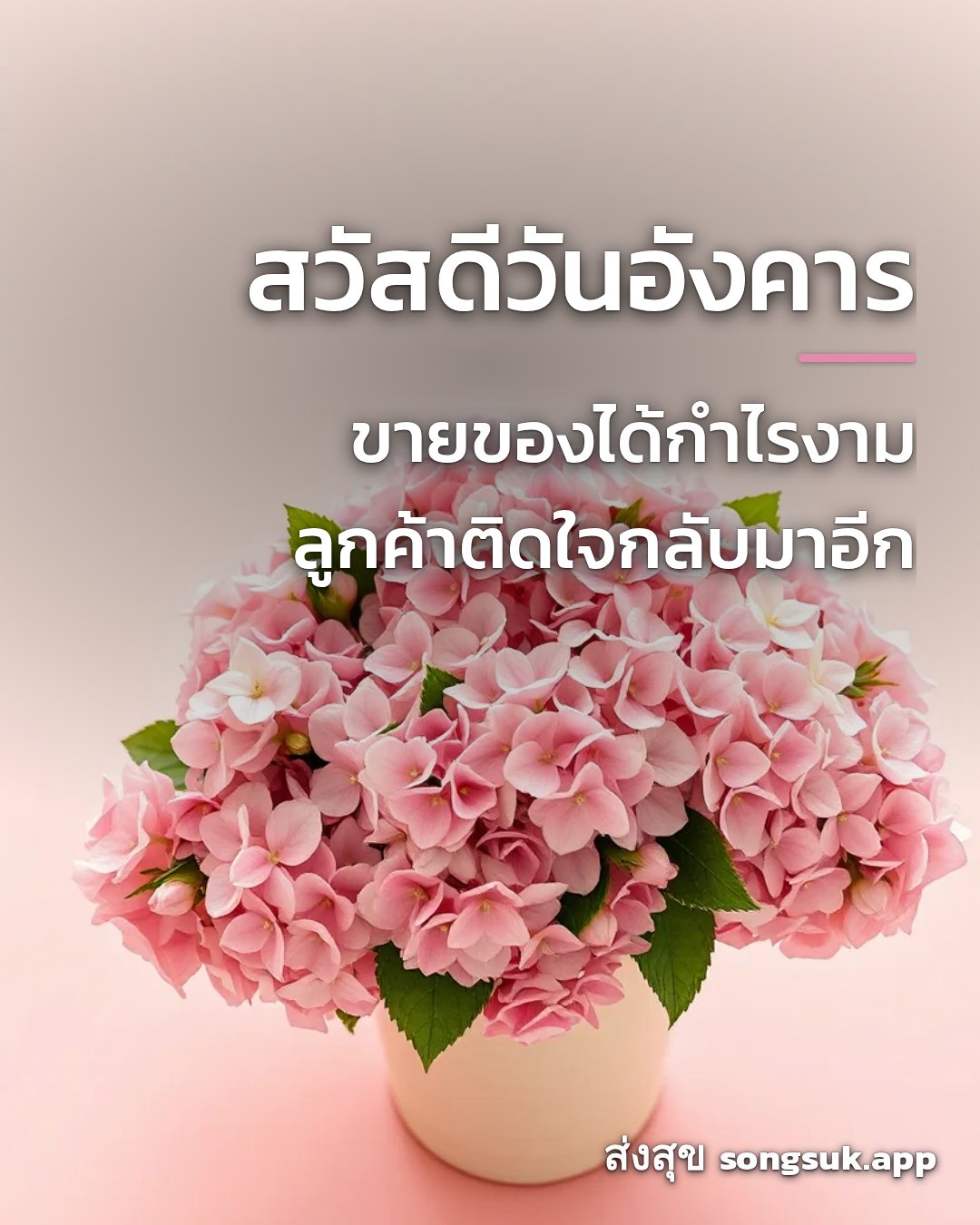 รูปอวยพร สวัสดีวันอังคาร
ขายของได้กำไรงาม
ลูกค้าติดใจกลับมาอีก จากส่งสุข