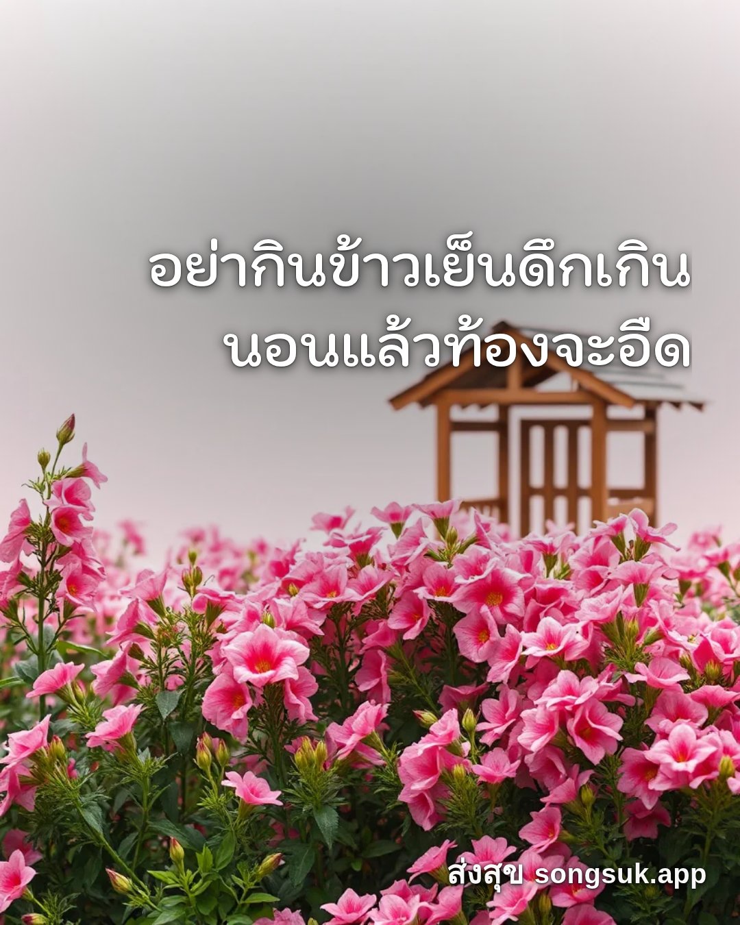 รูปอวยพร สวัสดีวันอังคาร
อย่ากินข้าวเย็นดึกเกิน
นอนแล้วท้องจะอืด จากส่งสุข