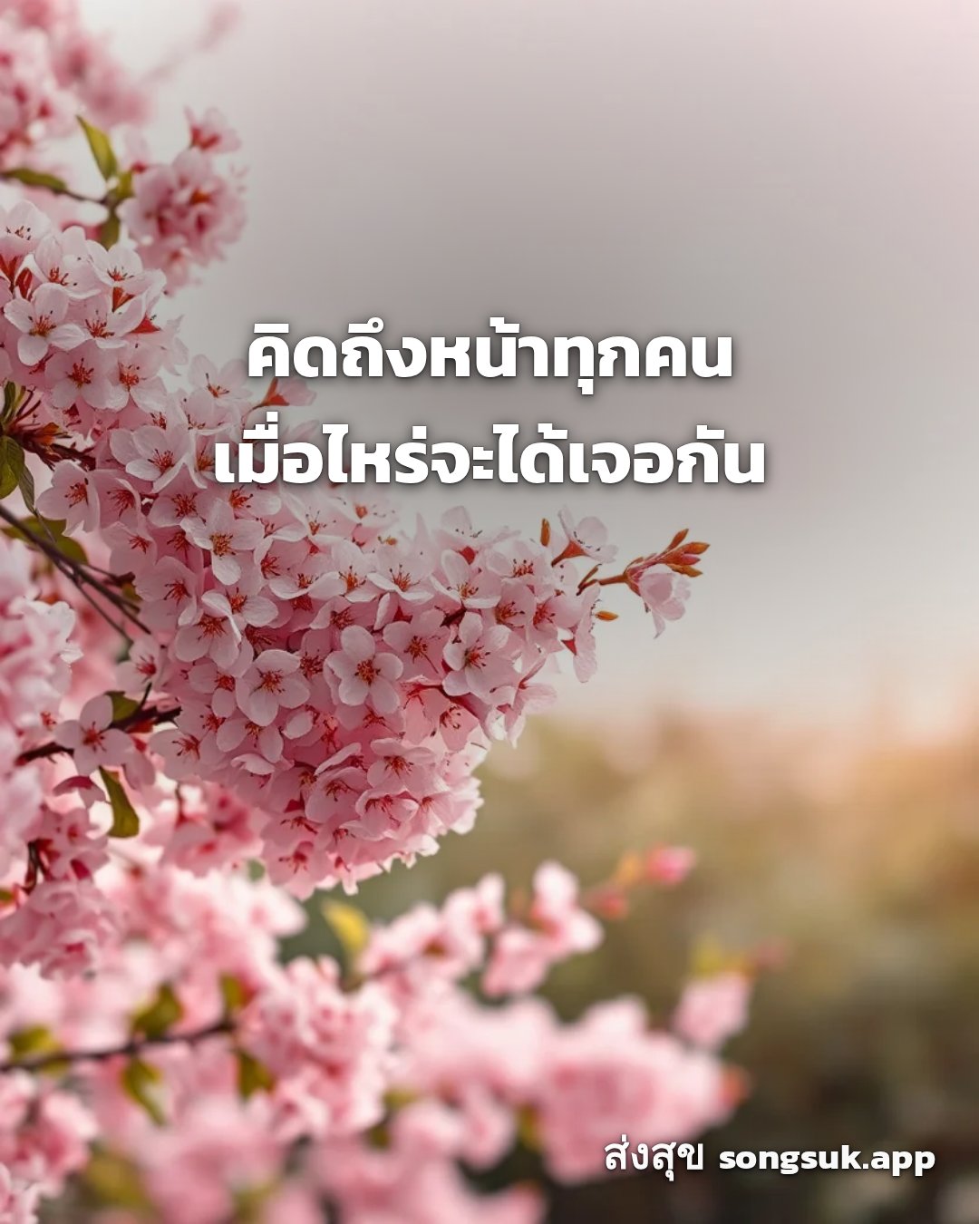 รูปอวยพร สวัสดีวันอังคาร
คิดถึงหน้าทุกคน
เมื่อไหร่จะได้เจอกัน จากส่งสุข