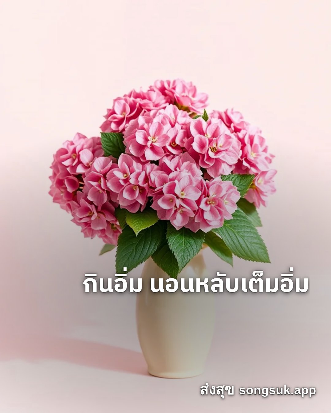 รูปอวยพร สวัสดีวันอังคาร
กินอิ่ม นอนหลับเต็มอิ่ม จากส่งสุข
