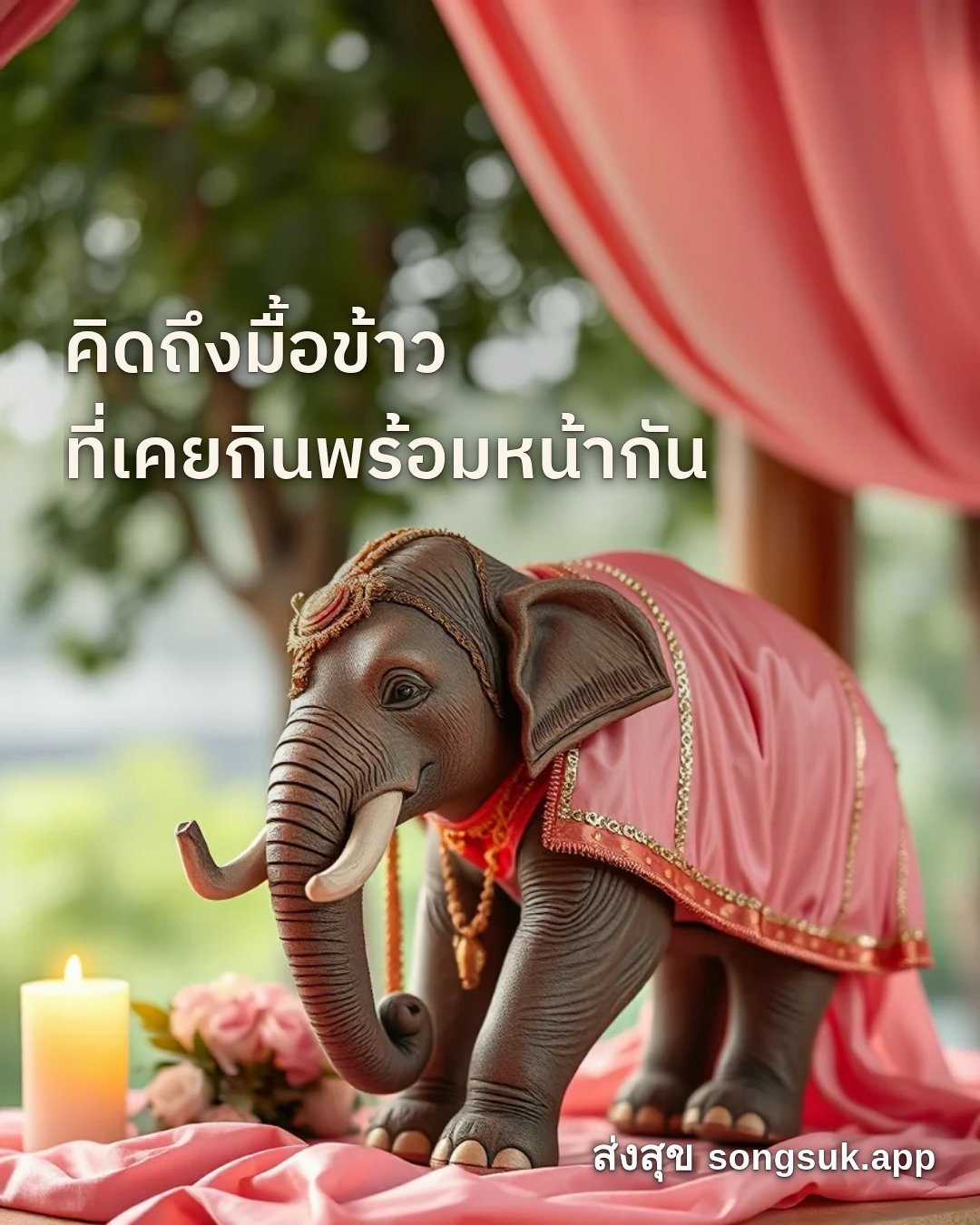 รูปอวยพร สวัสดีวันอังคาร
คิดถึงมื้อข้าว
ที่เคยกินพร้อมหน้ากัน จากส่งสุข