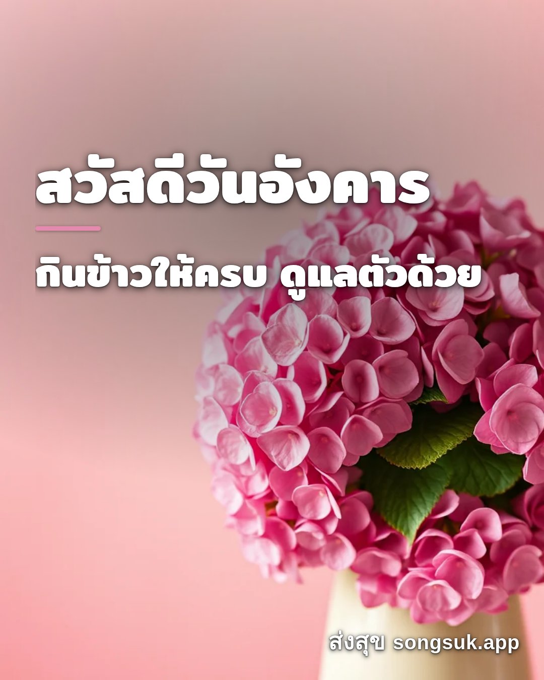 รูปอวยพร สวัสดีวันอังคาร
กินข้าวให้ครบ ดูแลตัวด้วย จากส่งสุข