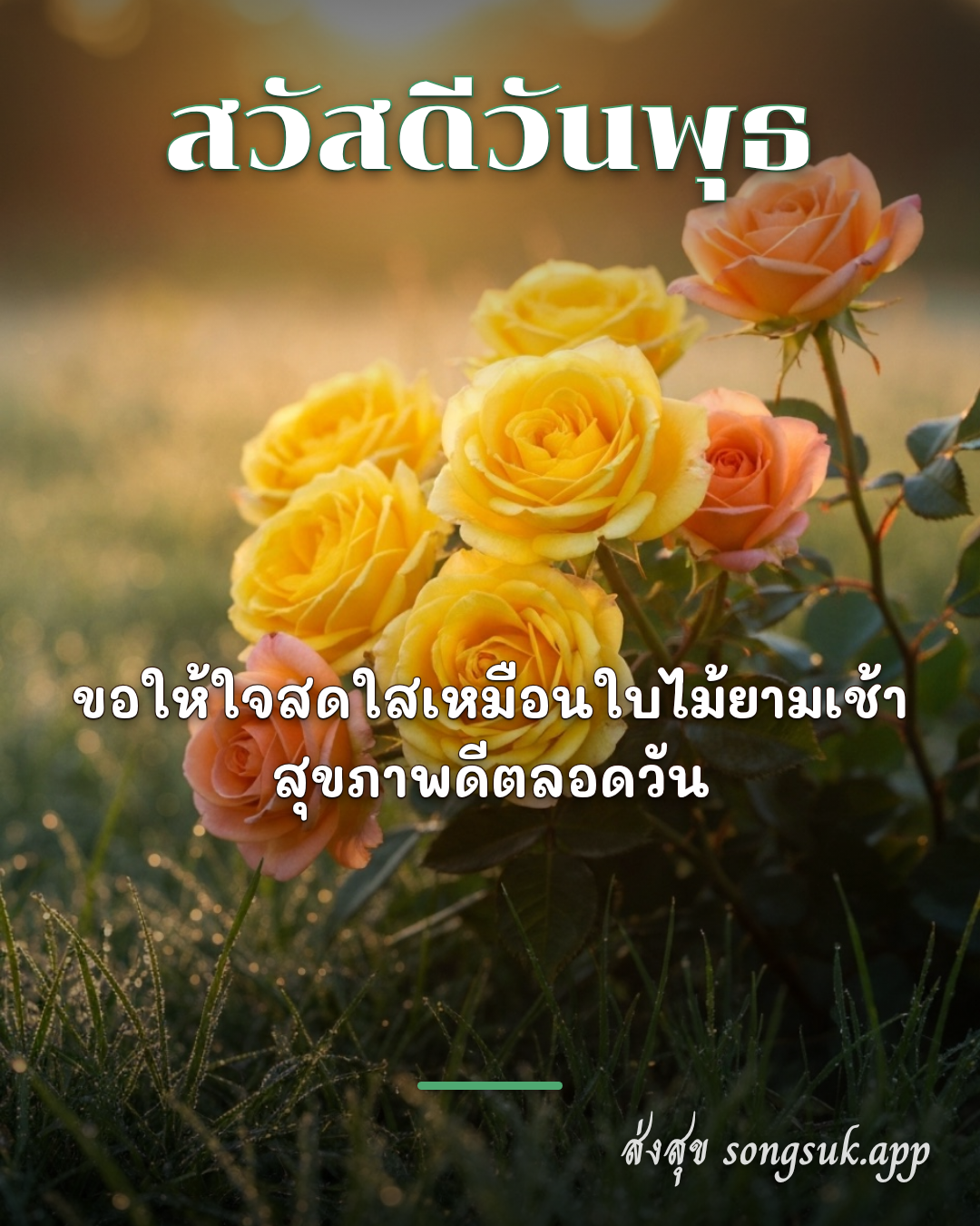 สวัสดีวันพุธ
ขอให้ใจสดใสเหมือนใบไม้ยามเช้า
สุขภาพดีตลอดวัน