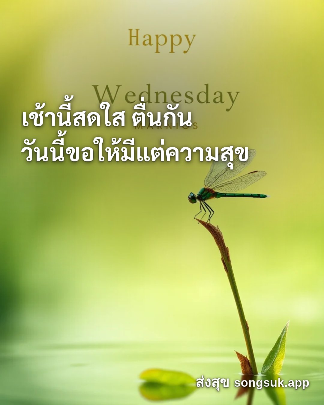 รูปอวยพร สวัสดีวันพุธ
เช้านี้สดใส ตื่นกัน
วันนี้ขอให้มีแต่ความสุข จากส่งสุข