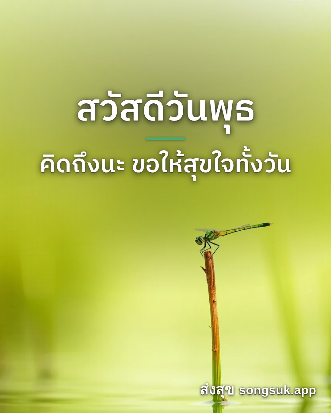 รูปอวยพร สวัสดีวันพุธ
คิดถึงนะ ขอให้สุขใจทั้งวัน จากส่งสุข