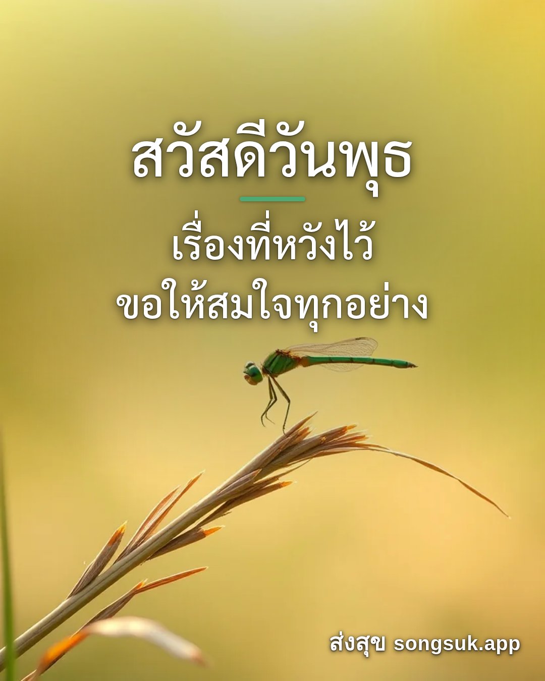 รูปอวยพร สวัสดีวันพุธ
เรื่องที่หวังไว้
ขอให้สมใจทุกอย่าง จากส่งสุข