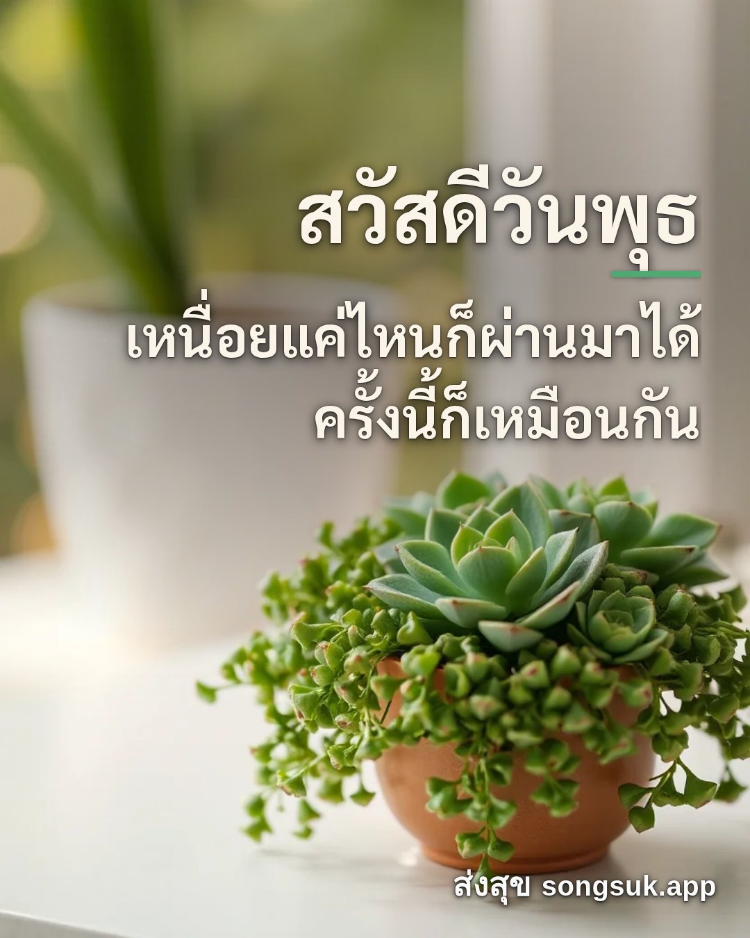 รูปอวยพร สวัสดีวันพุธ
เหนื่อยแค่ไหนก็ผ่านมาได้
ครั้งนี้ก็เหมือนกัน จากส่งสุข