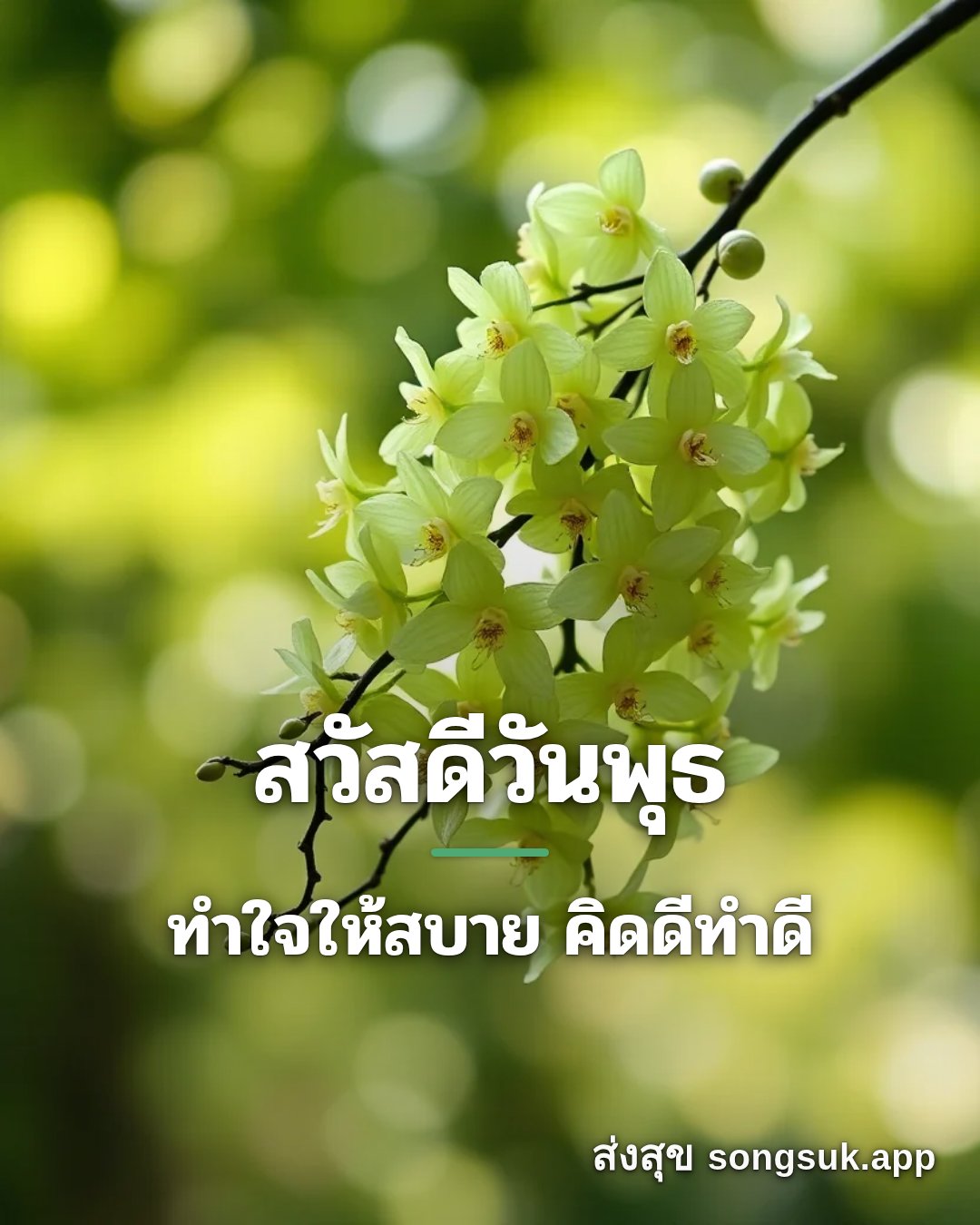 รูปอวยพร สวัสดีวันพุธ
ทำใจให้สบาย คิดดีทำดี จากส่งสุข