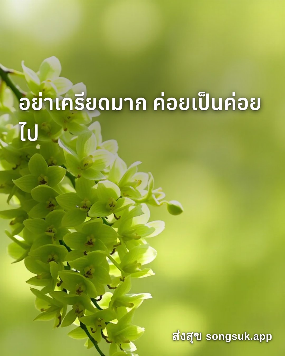 รูปอวยพร สวัสดีวันพุธ
อย่าเครียดมาก ค่อยเป็นค่อยไป จากส่งสุข
