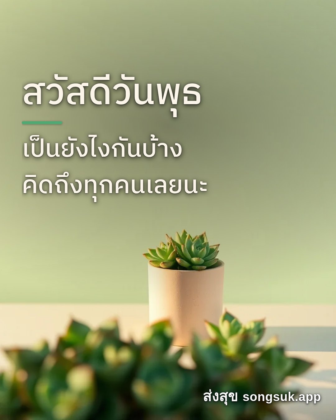 รูปอวยพร สวัสดีวันพุธ
เป็นยังไงกันบ้าง
คิดถึงทุกคนเลยนะ จากส่งสุข