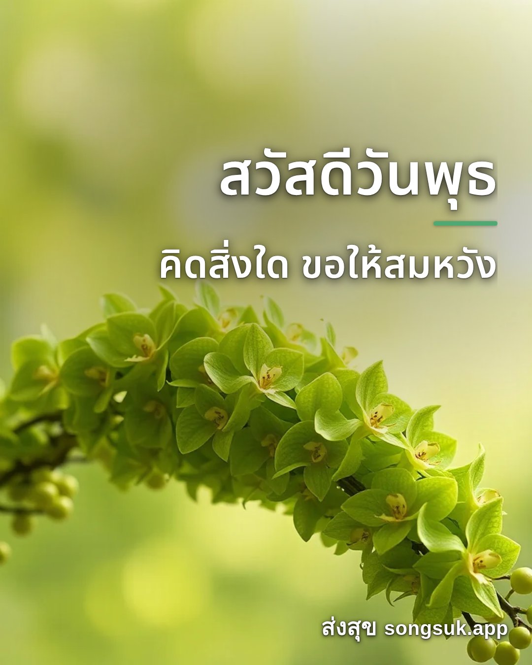 รูปอวยพร สวัสดีวันพุธ
คิดสิ่งใด ขอให้สมหวัง จากส่งสุข
